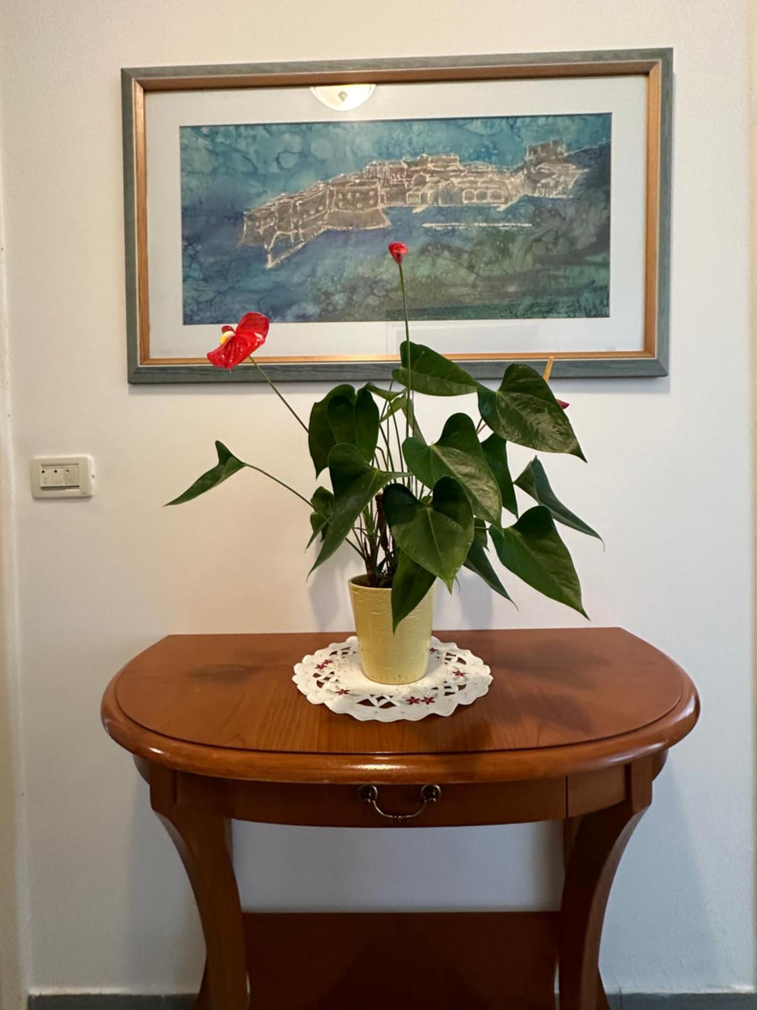 Apartment Golden Creek Magic View ドゥブロブニク エクステリア 写真